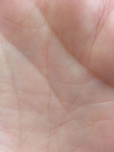 cuerpo isolineas mano